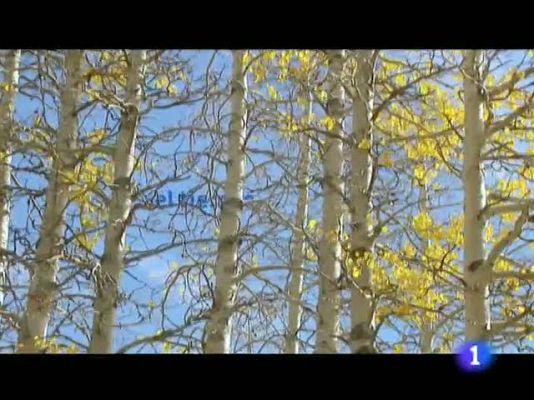 Informativo Telerioja - El tiempo en La Rioja - 20/12/11