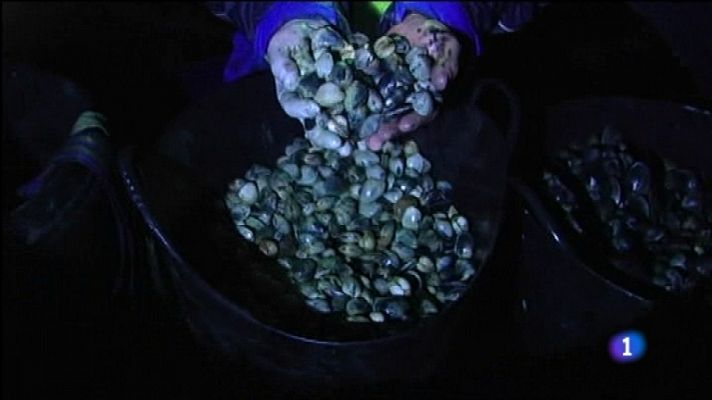 Repor - Furtivos en la Ría