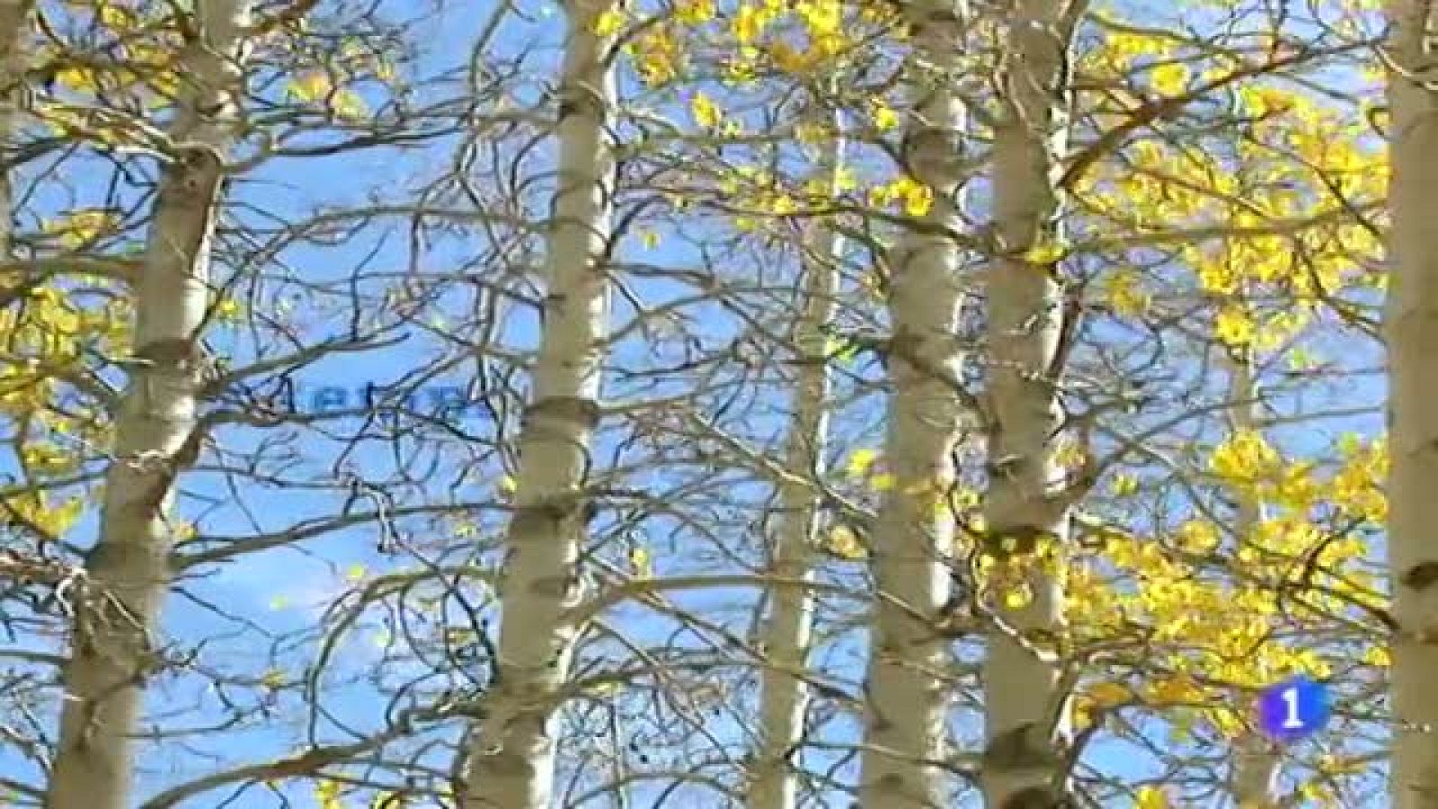 El tiempo en Galicia - 21/12/11