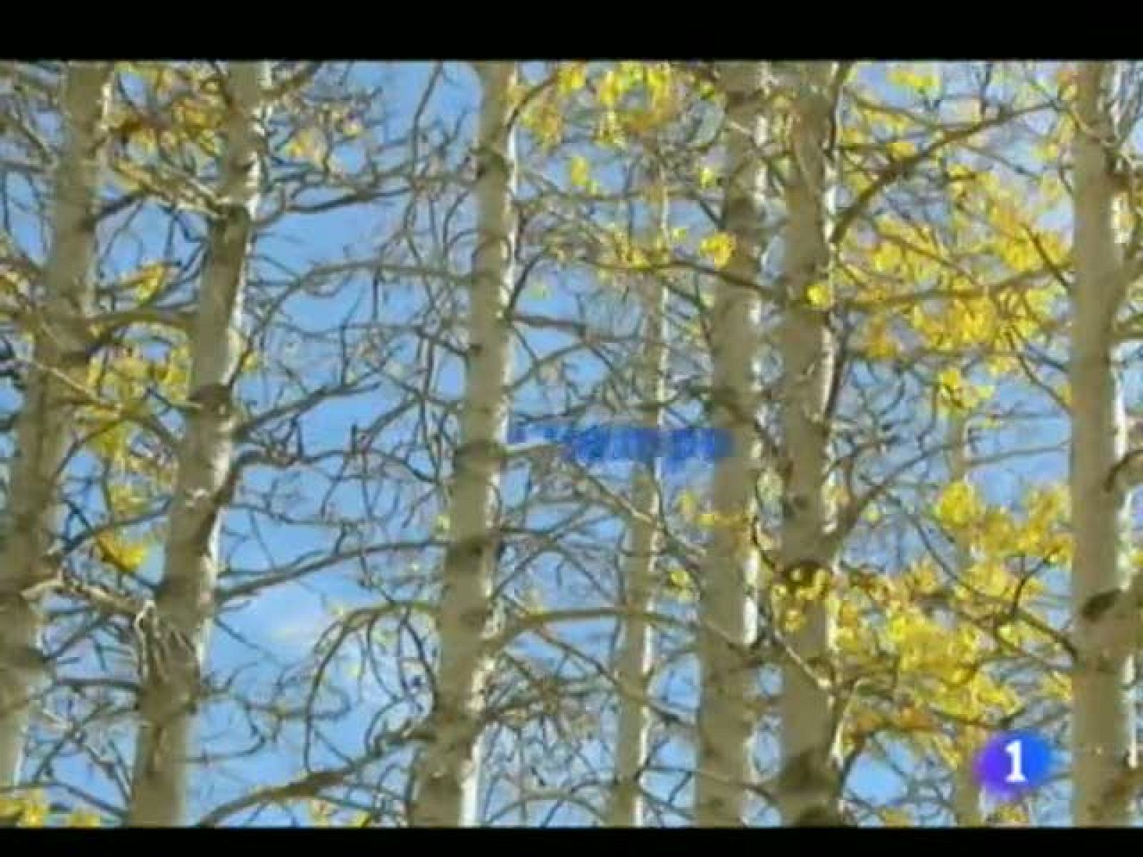 El tiempo en la Comunidad de Murcia.- 21/12/2011. | Ver