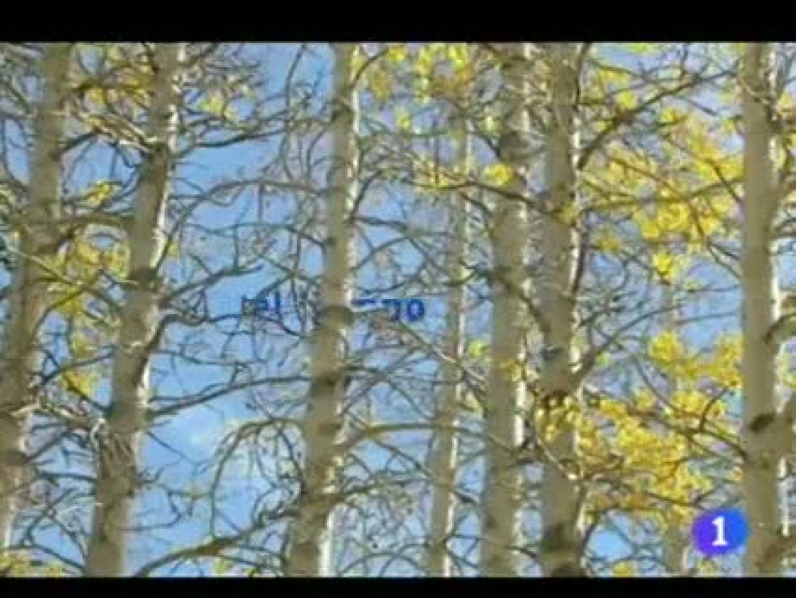 El tiempo en Andalucía - 21/12/11 | Ver