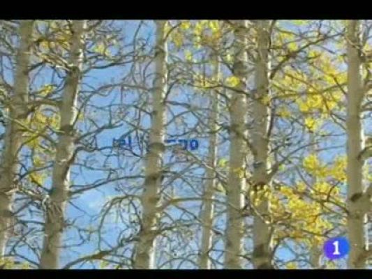 Noticias Andalucía - El tiempo en Andalucía - 21/12/11