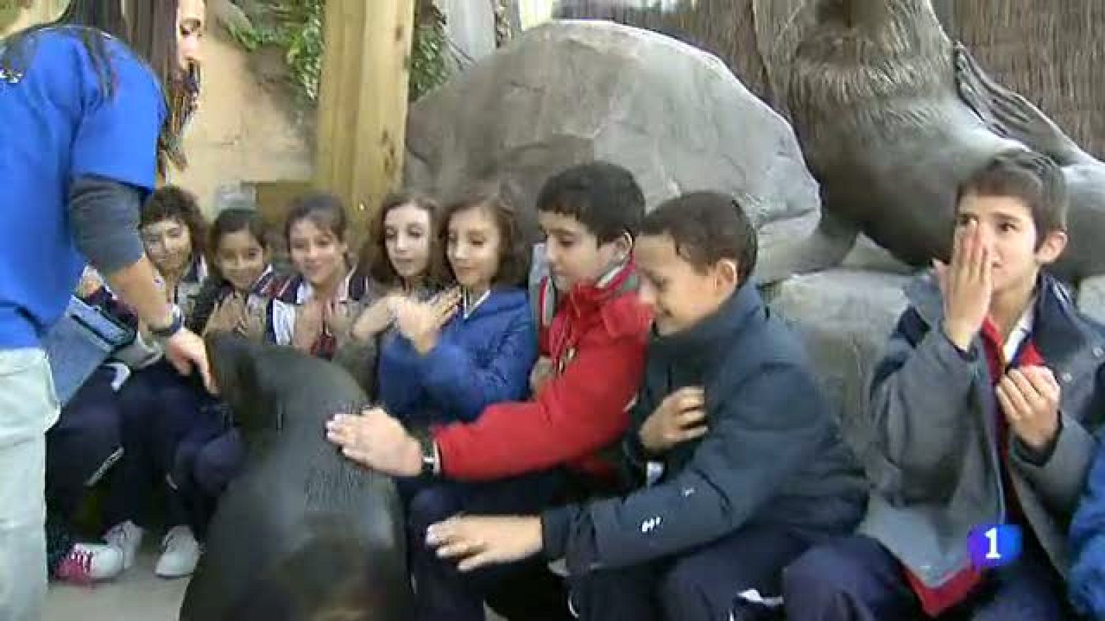 Más Gente - Los niños aprenden con Ivo