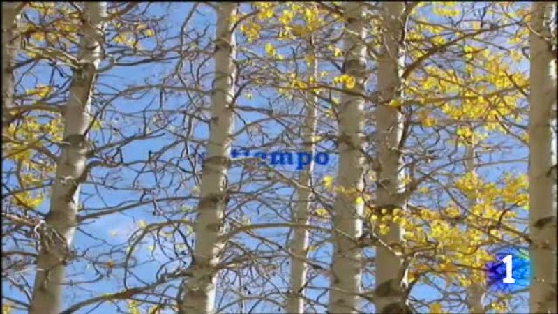 El tiempo en Canarias - 21/12/11 | Ver