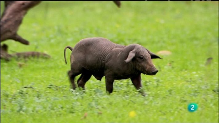 Biodiario - Biodiario - 21/12/11