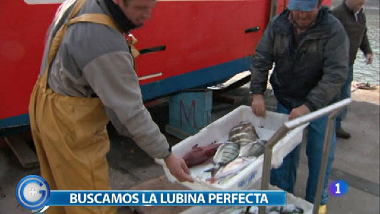 ¿Lubina salvaje o de granja?