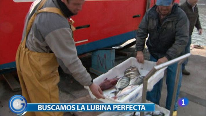 +Gente - ¿Lubina salvaje o de granja?