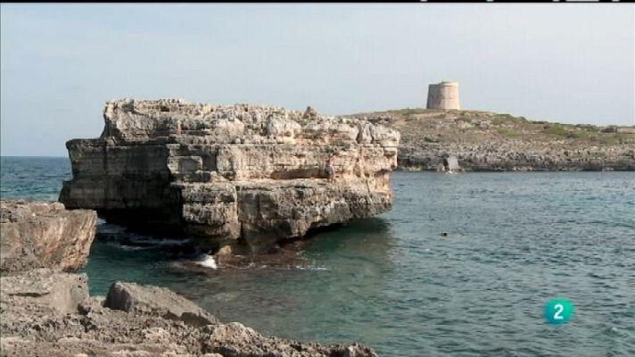 Biodiario - Biodiario - 22/12/11