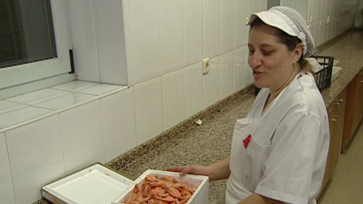 Telediario 1 - Solidaridad en navidad