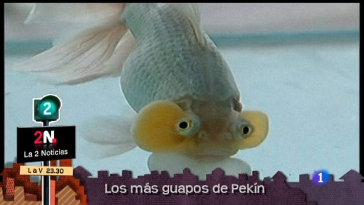 Lo que hay que ver ... - Lo que hay que ver - 24/12/11