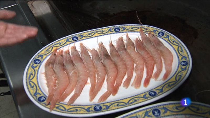 Más Gente - Más Cocina - Os mostramos las diferencias entre el marisco fresco y el congelado