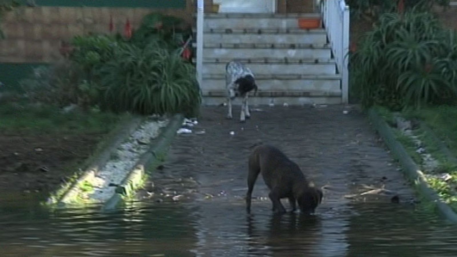 20 familias de Valdoviño, en A Coruña, están encerradas en el ayuntamiento desde Nochebuena