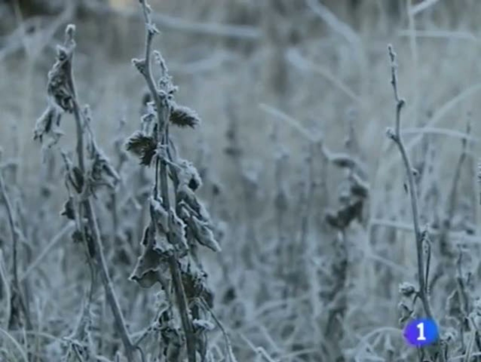 Noticias Aragón - 27/12/11 | Ver