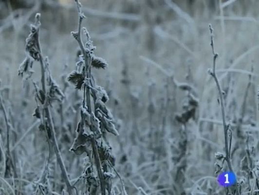 Noticias Aragón - Noticias Aragón - 27/12/11