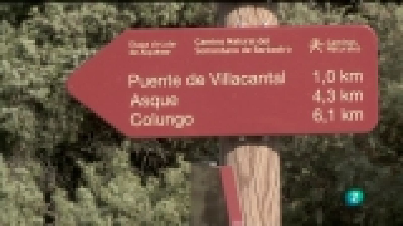 Biodiario - 27/12/11- Ver ahora