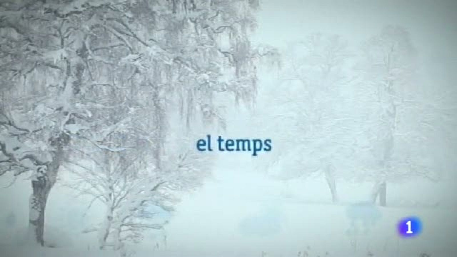 El temps - 28/12/11