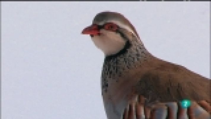 Biodiario - Biodiario - 28/12/11