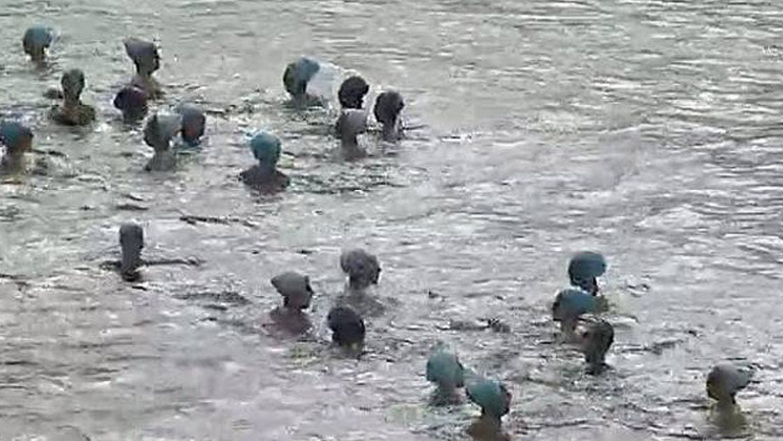 Cincuenta personas despedirán el año en la playa de las Canteras en Las Palmas de Gran Canaría con el espectáculo 'El mar de la felicidad', que coordinará la nadadora Paola Tirados.