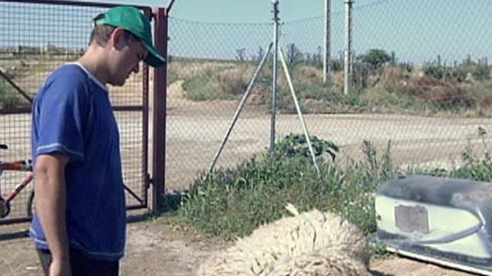 Telediario 1 - Movilizaciones de agricultores