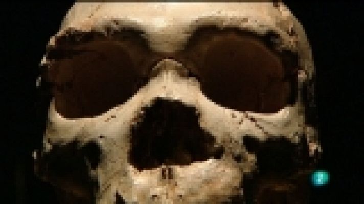 Extras DVD - Museo de la evolución humana