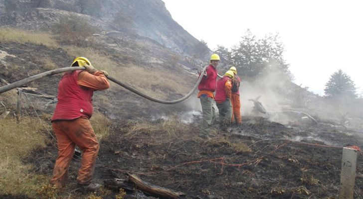 Informativo 24h - Chile pide ayuda internacional por el fuego de Torres del Paine
