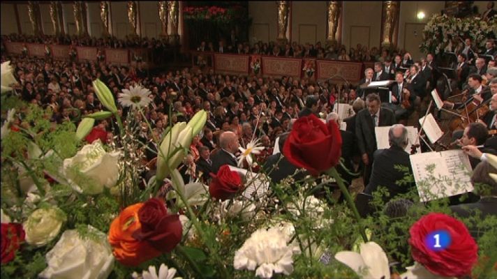 Especiales de Navidad - Concierto de Año Nuevo 2012