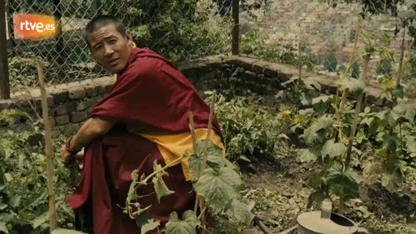 Katmandú,  -que se estrena el 3 de febrero - cuenta, basándose en una historia real, la historia de Laia, una joven maestra catalana, que se traslada a Katmandú para trabajar en una escuela local. Pronto descubrirá una pobreza extrema y un panorama