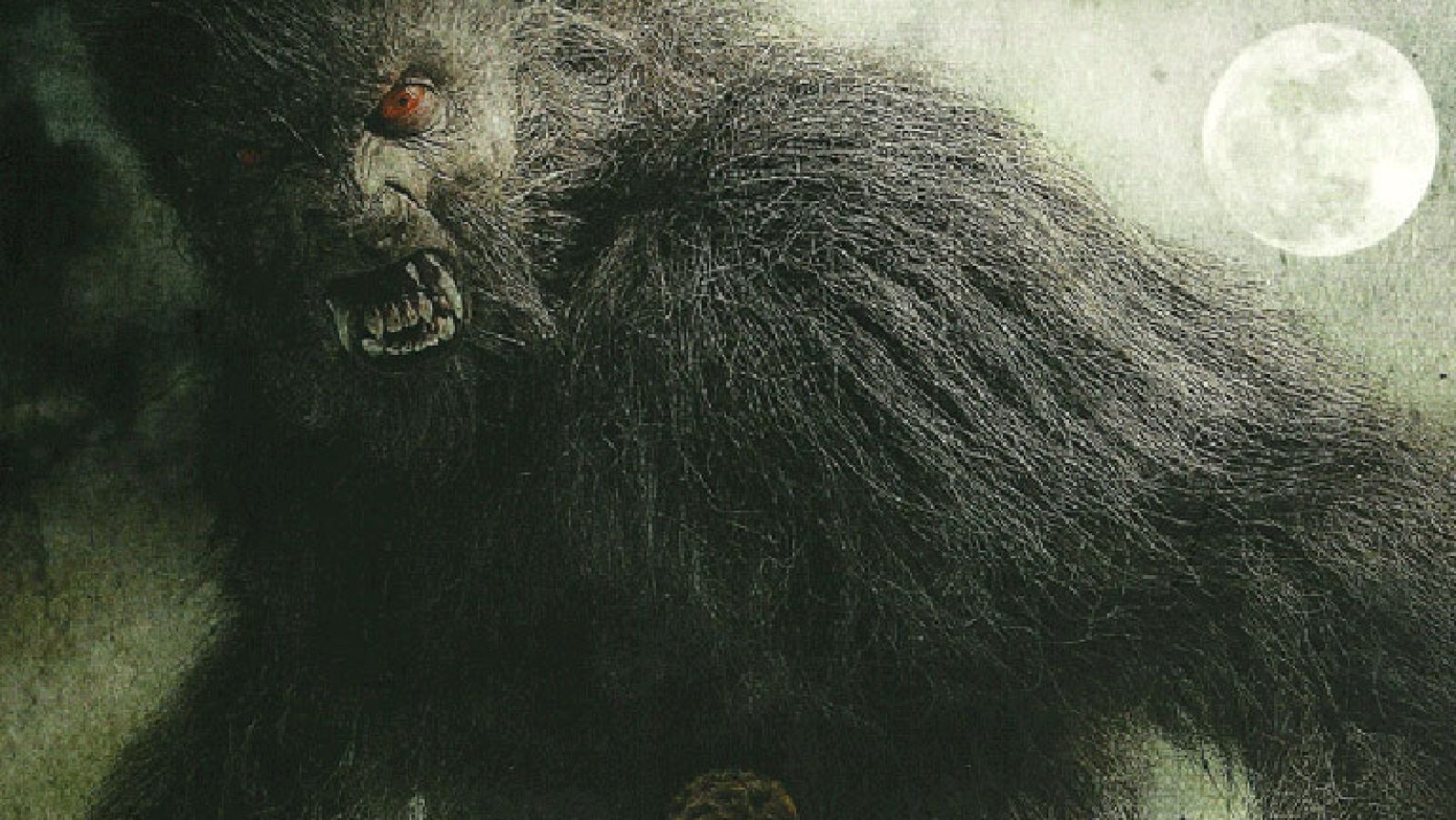 Lobos de Arga: Los especialistas