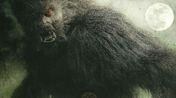  - Lobos de Arga: Los especialistas