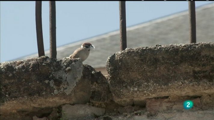 Biodiario - Biodiario - 05/01/12