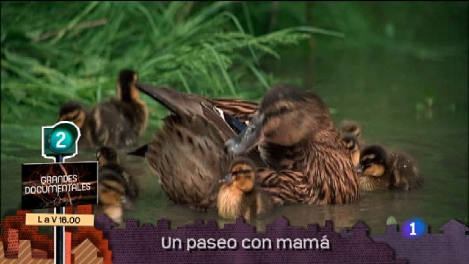 Lo que hay que ver - 07/01/12 - Ver ahora