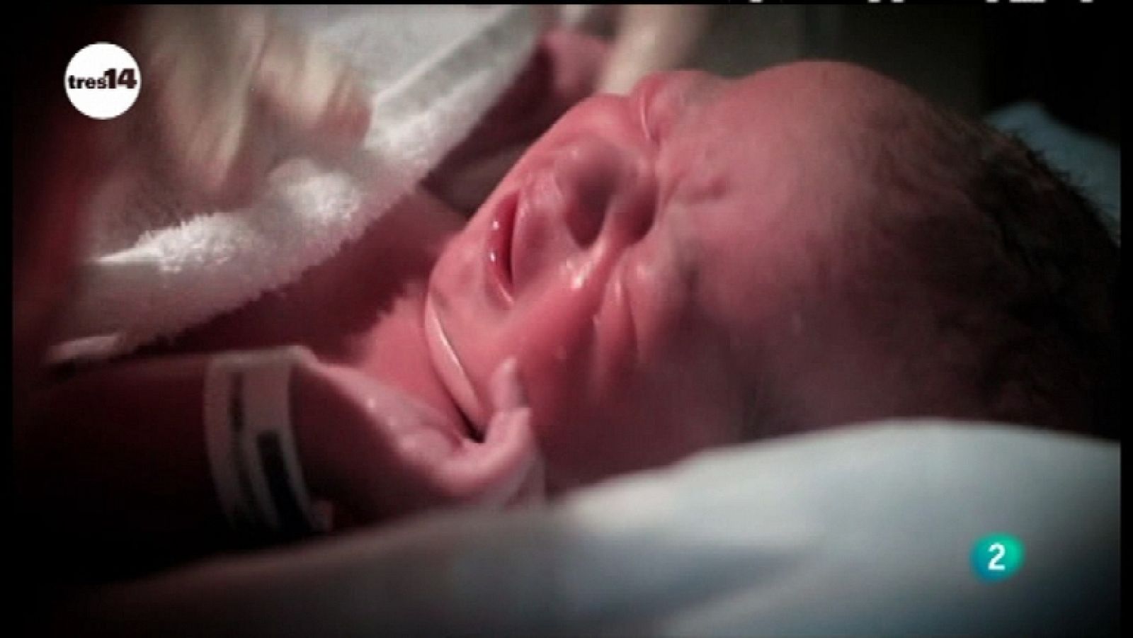 tres14 - Bebés del futuro - Ver ahora