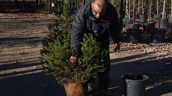 Informativo de Madrid - Informativo de Madrid - 09/01/12