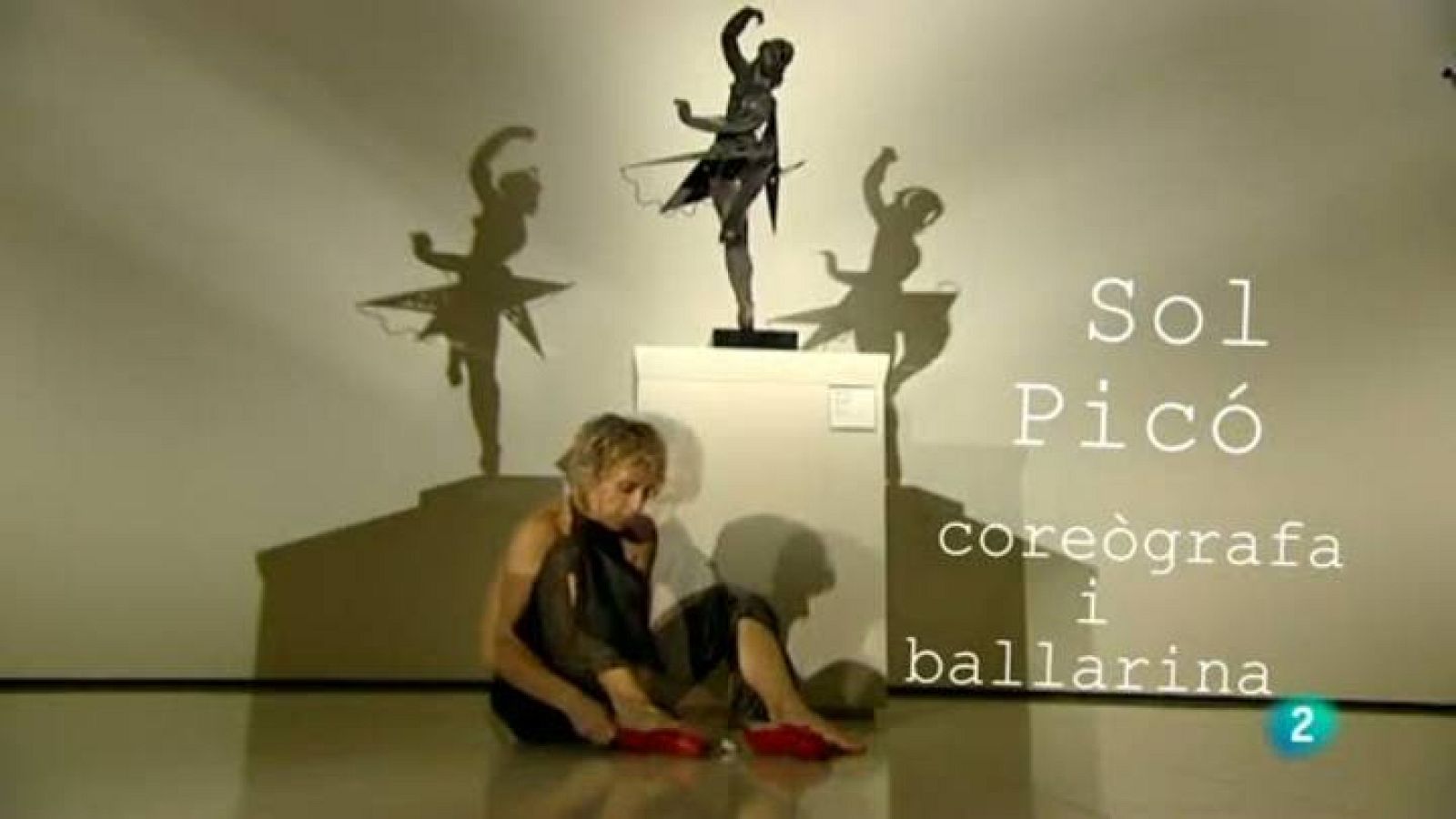 Continuarà - "El MNAC a 13 veus"  - Sol Picó