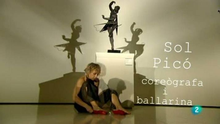 Continuarà... - El MNAC a 13 veus: Sol Picó