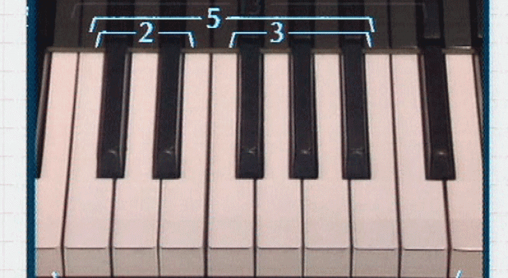 Más por menos - Fibonacci. La magia de los números