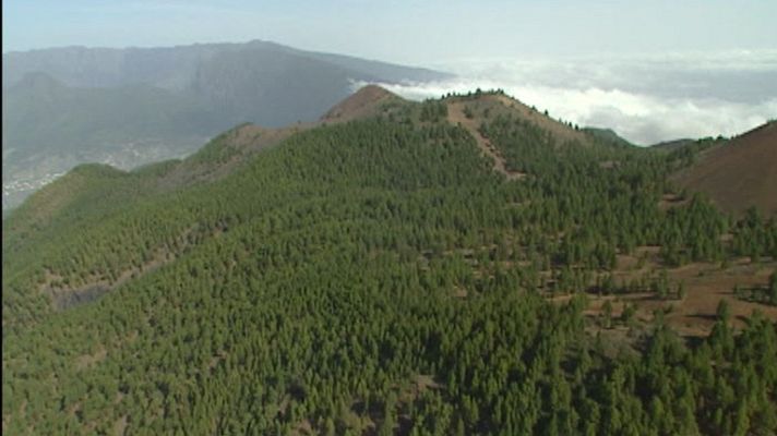 Telediario 1 - Espacios naturales en la Web