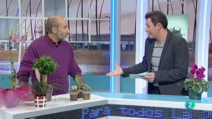 Para todos La 2 - Las plantas