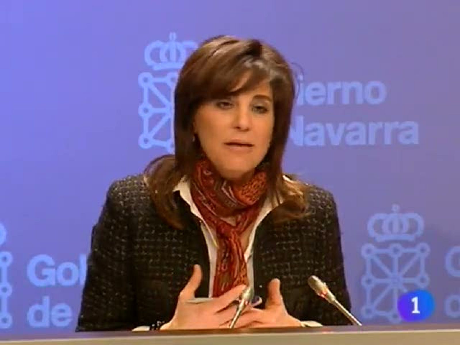 Telenavarra  - 13/01/12 | Ver