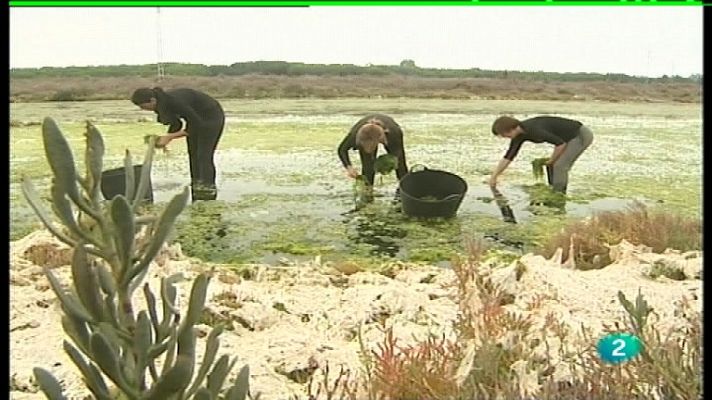 España en comunidad - El mar en la mesa