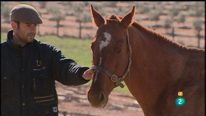 Tendido cero - Tendido cero - 14/01/12