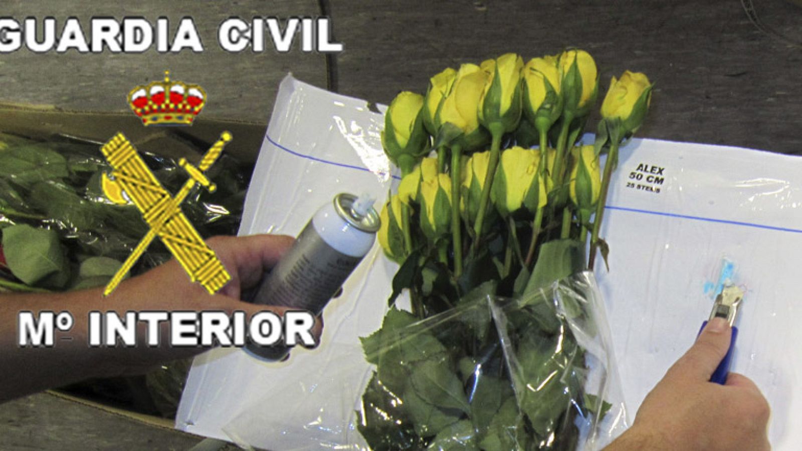 Actuaciones antidroga de la Guardia Civil en Barajas