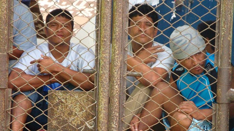 Informe Semanal - Burriers, camellos por encargo