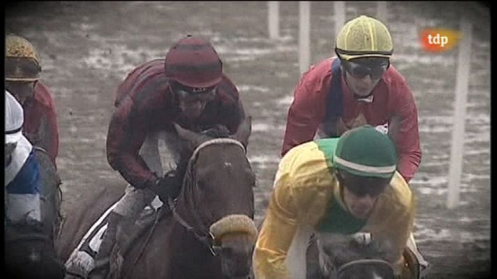 Turf - Turf - 15/01/12