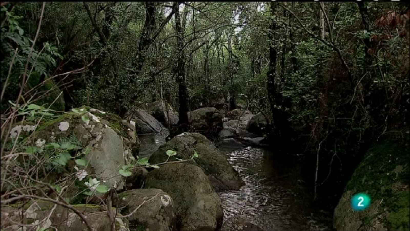 Biodiario - 15/01/12  - Ver ahora