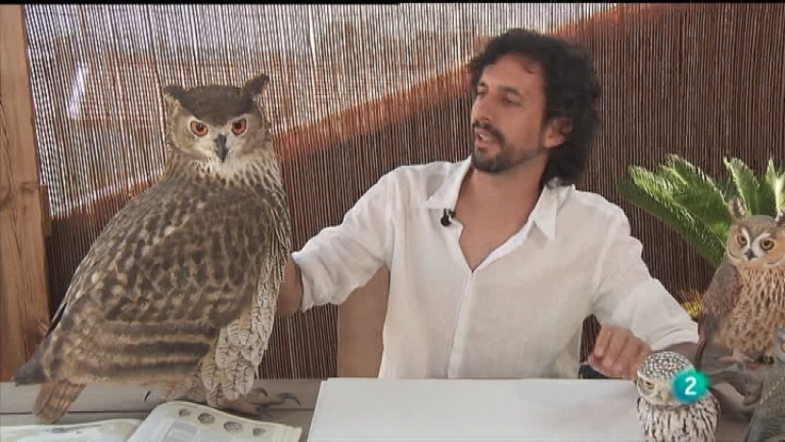 La aventura del saber - 16/01/12