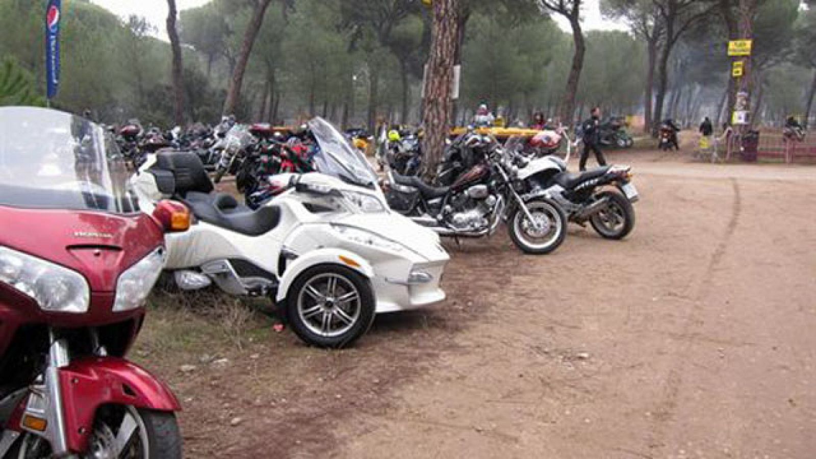 Más Gente - Pingüinos 2012 concentra a 40.000 personas