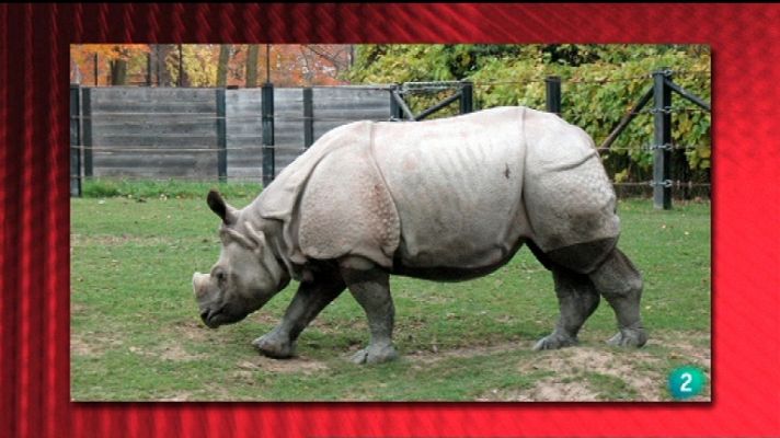 Saber y ganar - Saber y ganar - 16/01/12