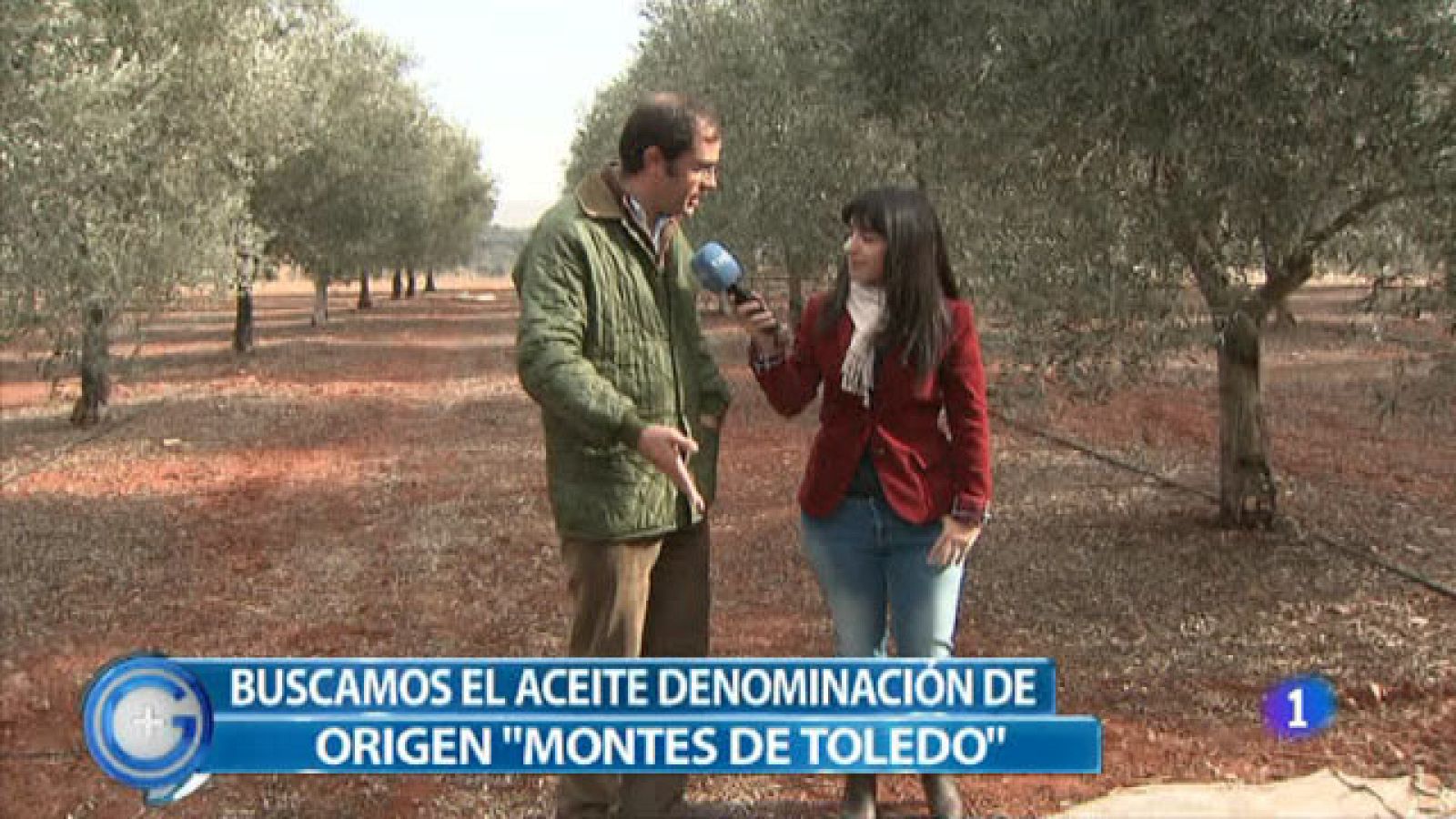 Más Gente - Aceite de los Montes de Toledo