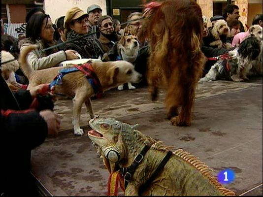 Noticias Aragón - Noticias Aragón - 17/01/12